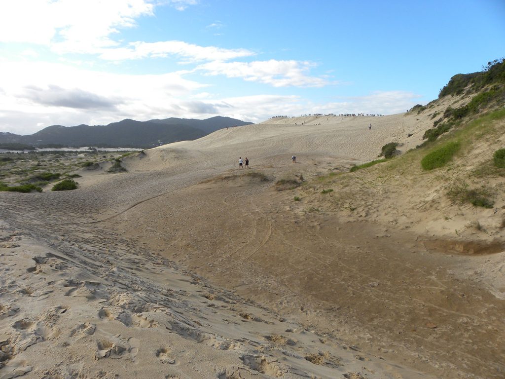 Dunas em Praia da Joaquina, Florianópolis praia-da-joaquina-floripa09